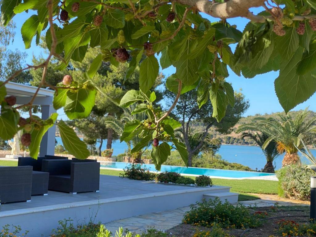 Villa Anthia Порто Хели Экстерьер фото